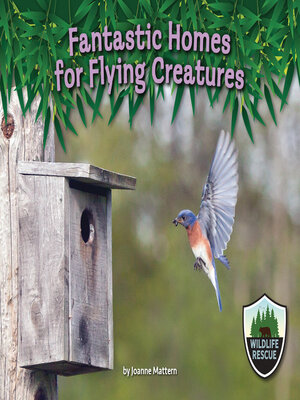 cover image of Fantastic Homes for Flying Creatures